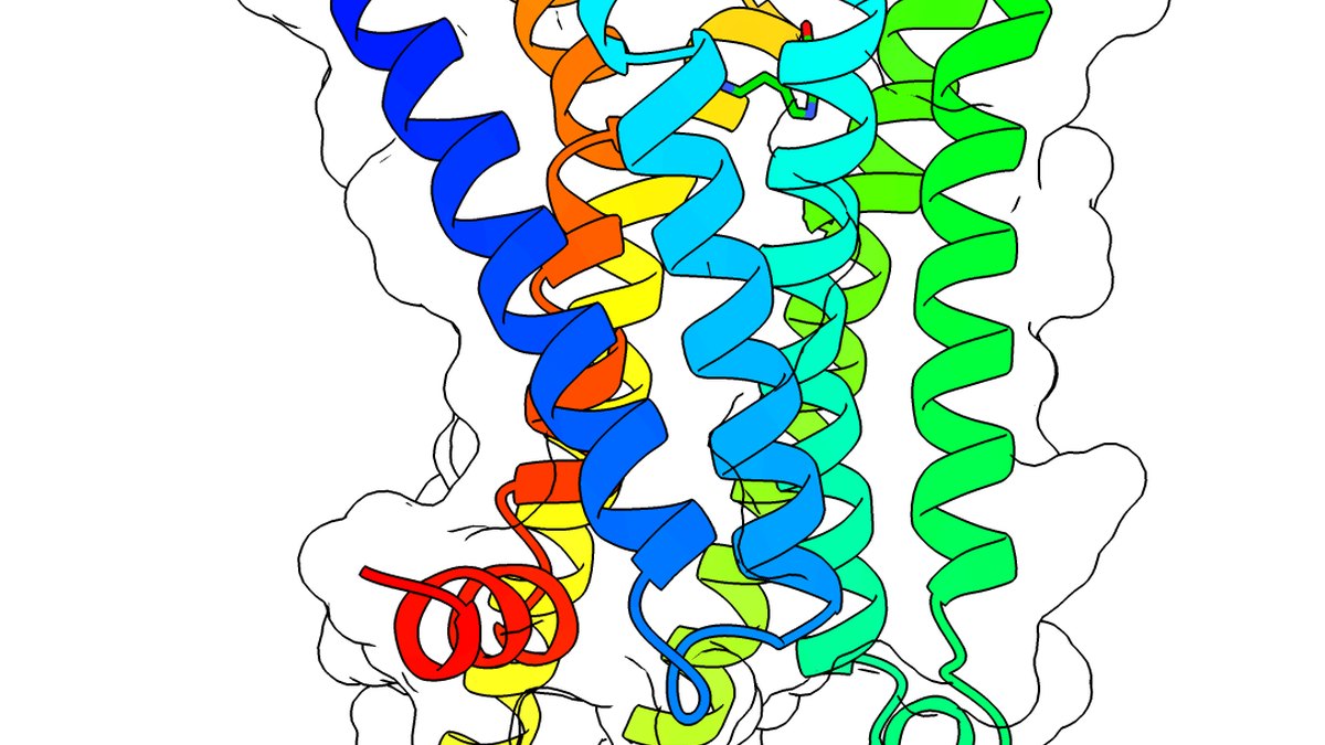 Protein structure model — the large, multi-domain fold of a fused nCas9-RT editor that makes the ribonucleoprotein fragile to dry and store; a Panacea Bio Chem feature by Bogdan Dicoias