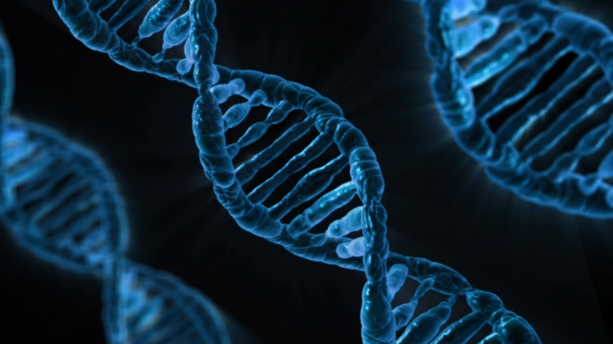 DNA double helix — the genome that prime editing's fused nCas9-RT editor rewrites base by base; a Panacea Bio Chem feature by Bogdan Dicoias